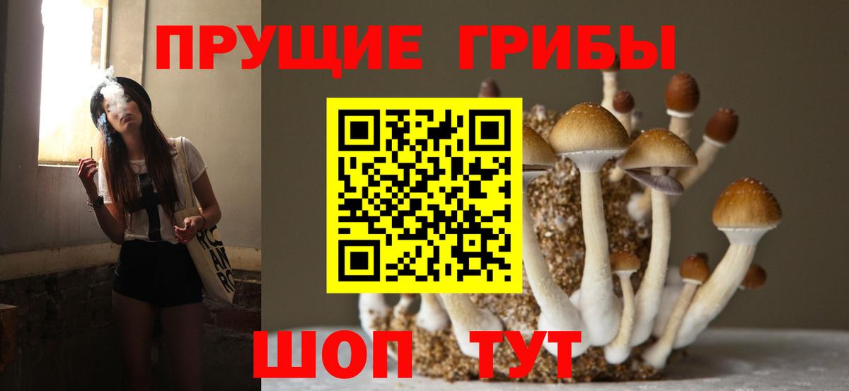 Галлюциногенные грибы GOLDEN TEACHER  Галлюциногенные грибы мицелий  где найти   Вход с VPN  Саянск 